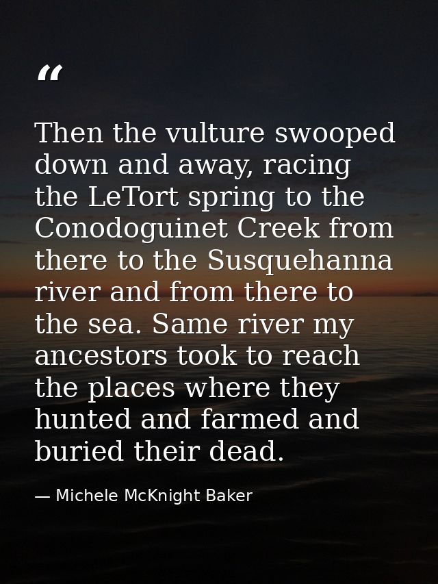 Then the vulture swooped down and away, racing the LeTort spring to the Conodoguinet Creek from there to the Susquehanna — Michele McKnight Baker