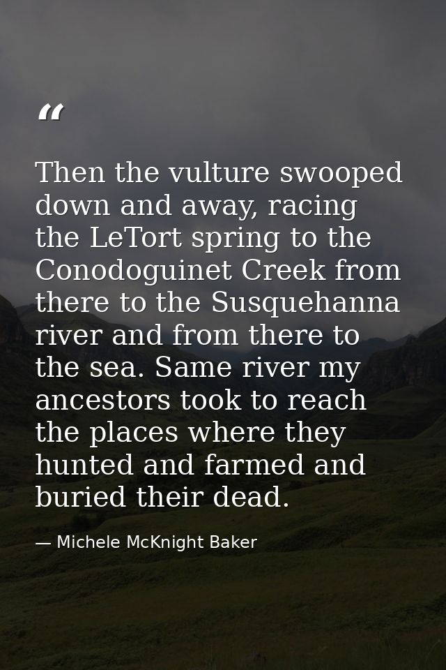 Then the vulture swooped down and away, racing the LeTort spring to the Conodoguinet Creek from there to the Susquehanna — Michele McKnight Baker