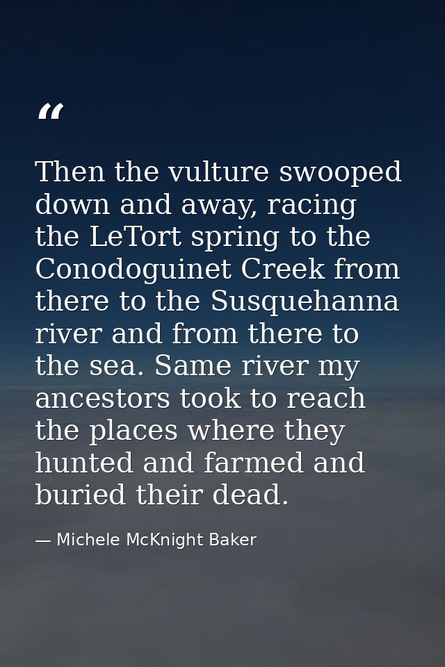 Then the vulture swooped down and away, racing the LeTort spring to the Conodoguinet Creek from there to the Susquehanna — Michele McKnight Baker