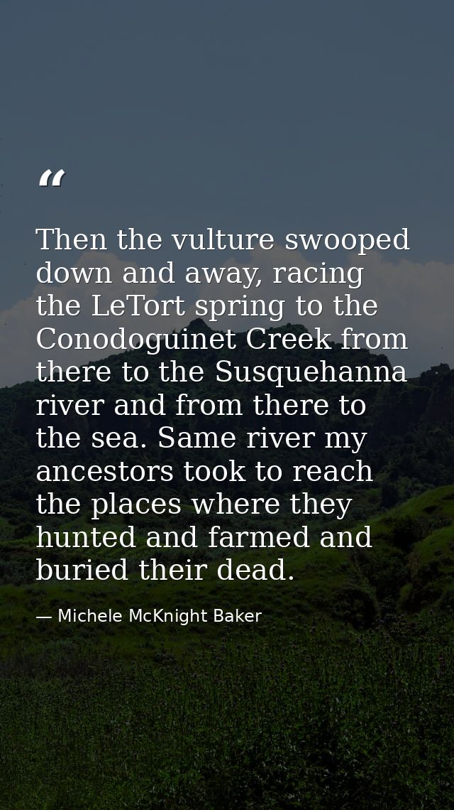 Then the vulture swooped down and away, racing the LeTort spring to the Conodoguinet Creek from there to the Susquehanna — Michele McKnight Baker