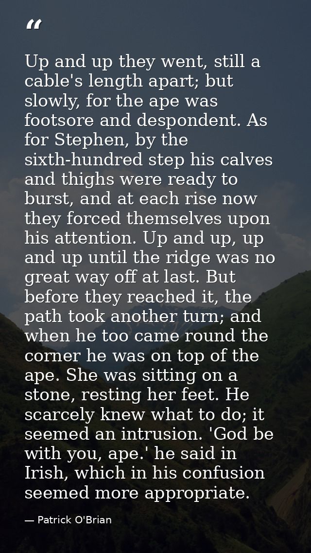 Up and up they went, still a cable's length apart; but slowly, for the ape was footsore and despondent. As for Stephen,  — Patrick O'Brian