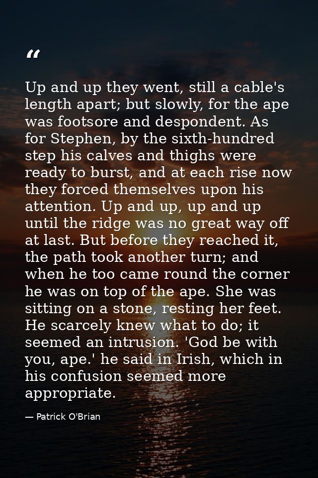Up and up they went, still a cable's length apart; but slowly, for the ape was footsore and despondent. As for Stephen,  — Patrick O'Brian