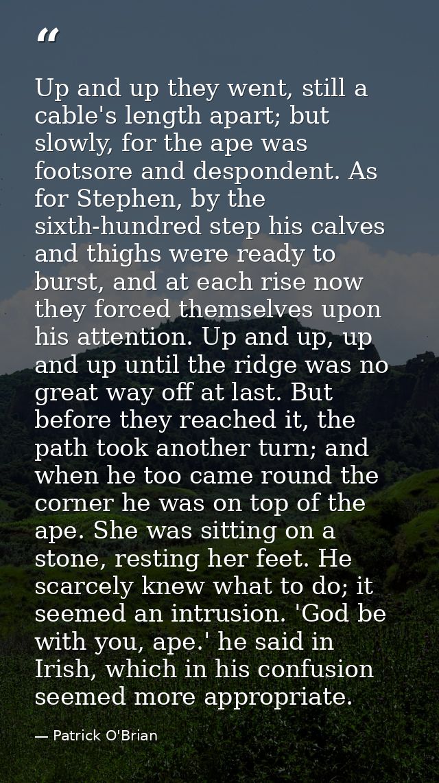 Up and up they went, still a cable's length apart; but slowly, for the ape was footsore and despondent. As for Stephen,  — Patrick O'Brian