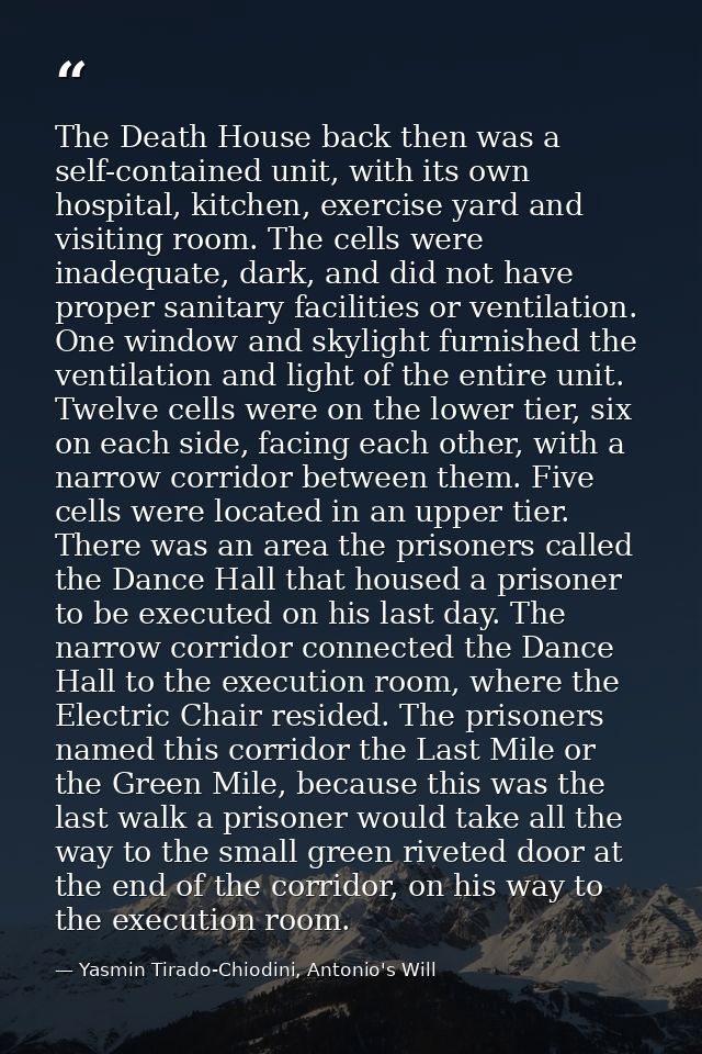 The Death House back then was a self-contained unit, with its own hospital, kitchen, exercise yard and visiting room. Th — Yasmin Tirado-Chiodini, Antonio's Will