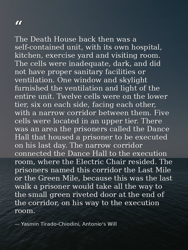The Death House back then was a self-contained unit, with its own hospital, kitchen, exercise yard and visiting room. Th — Yasmin Tirado-Chiodini, Antonio's Will