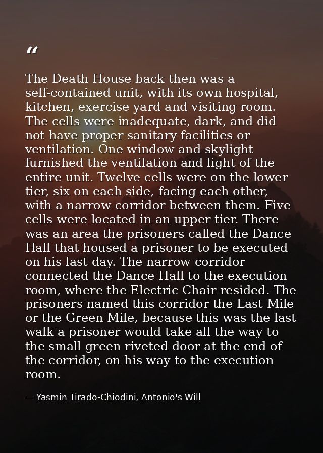 The Death House back then was a self-contained unit, with its own hospital, kitchen, exercise yard and visiting room. Th — Yasmin Tirado-Chiodini, Antonio's Will