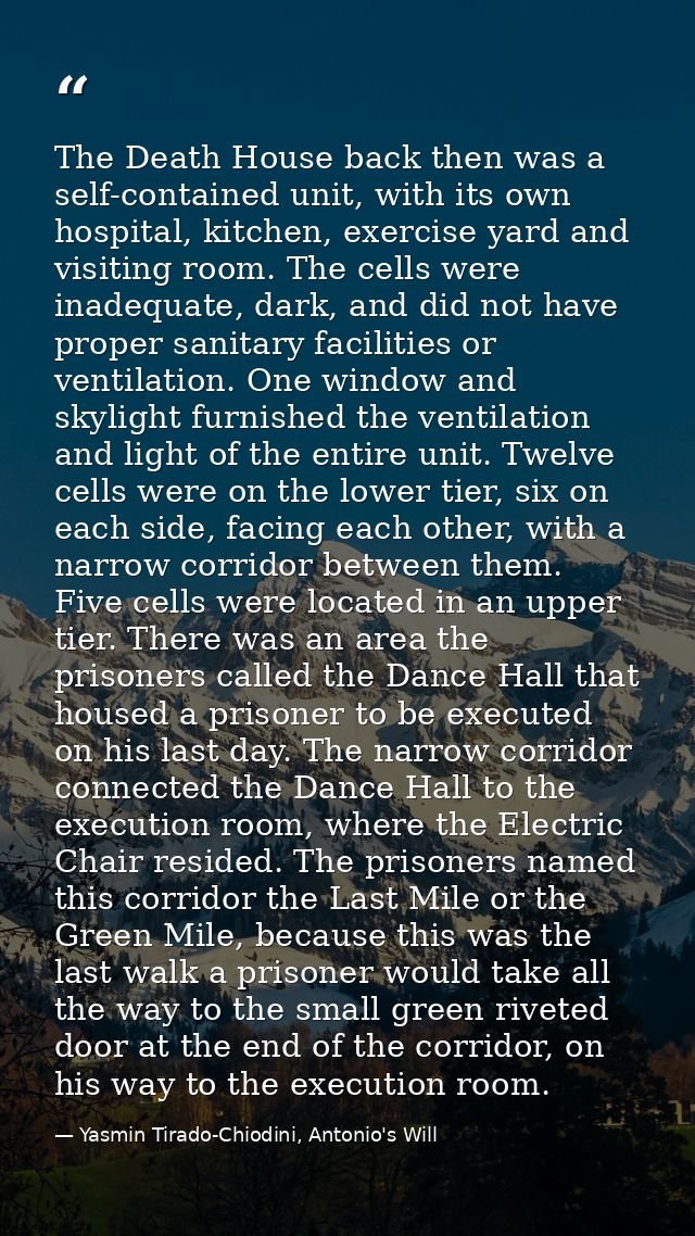 The Death House back then was a self-contained unit, with its own hospital, kitchen, exercise yard and visiting room. Th — Yasmin Tirado-Chiodini, Antonio's Will