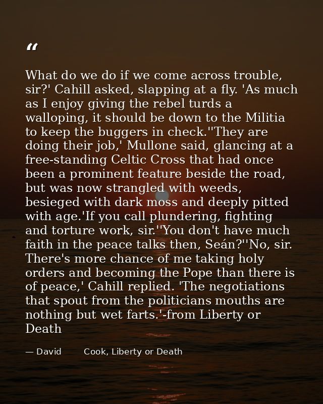 What do we do if we come across trouble, sir?' Cahill asked, slapping at a fly. 'As much as I enjoy giving the rebel tur — David        Cook, Liberty or Death