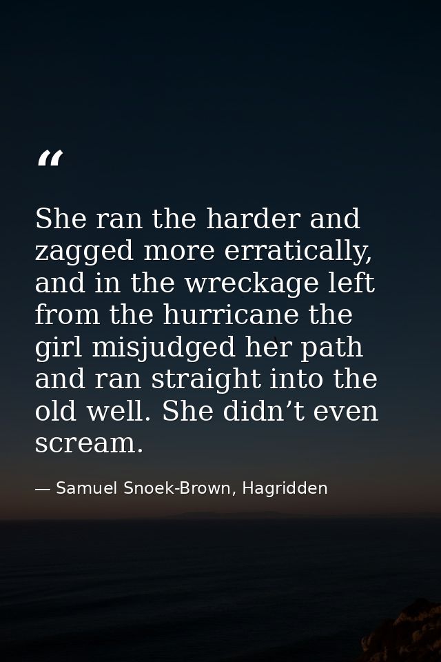 She ran the harder and zagged more erratically, and in the wreckage left from the hurricane the girl misjudged her path  — Samuel Snoek-Brown, Hagridden