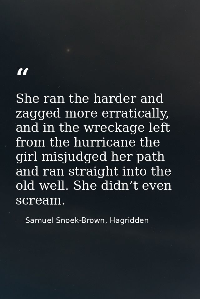 She ran the harder and zagged more erratically, and in the wreckage left from the hurricane the girl misjudged her path  — Samuel Snoek-Brown, Hagridden
