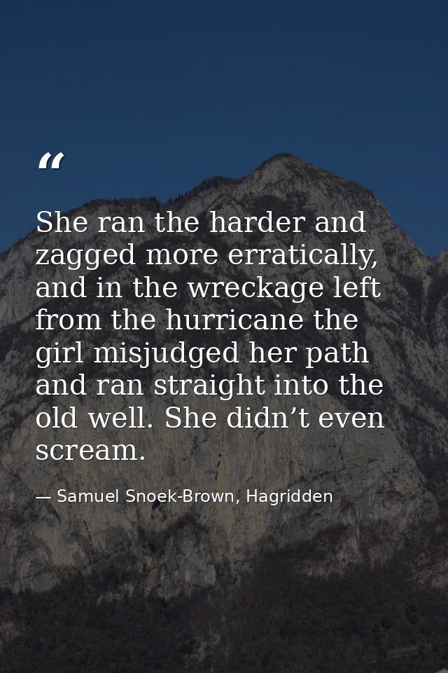 She ran the harder and zagged more erratically, and in the wreckage left from the hurricane the girl misjudged her path  — Samuel Snoek-Brown, Hagridden