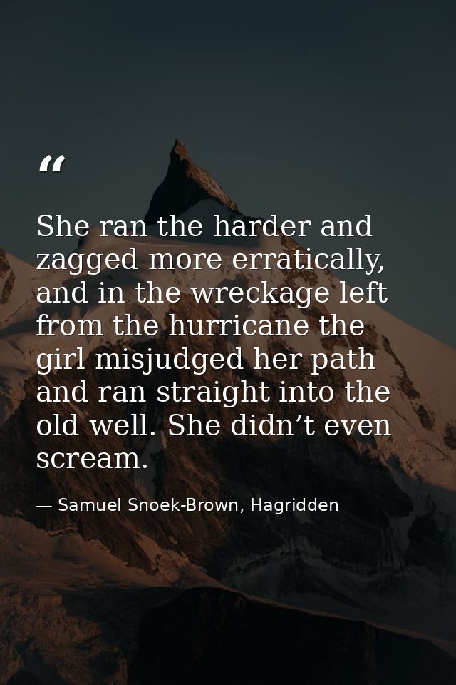 She ran the harder and zagged more erratically, and in the wreckage left from the hurricane the girl misjudged her path  — Samuel Snoek-Brown, Hagridden