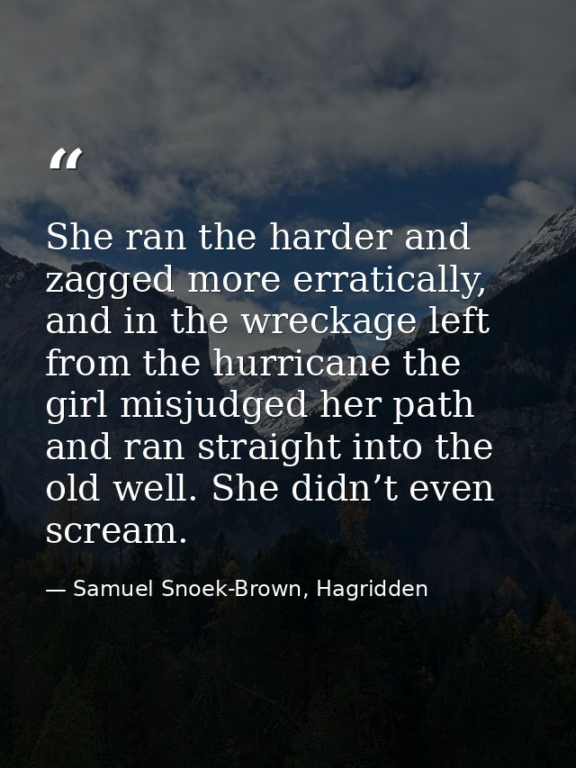 She ran the harder and zagged more erratically, and in the wreckage left from the hurricane the girl misjudged her path  — Samuel Snoek-Brown, Hagridden