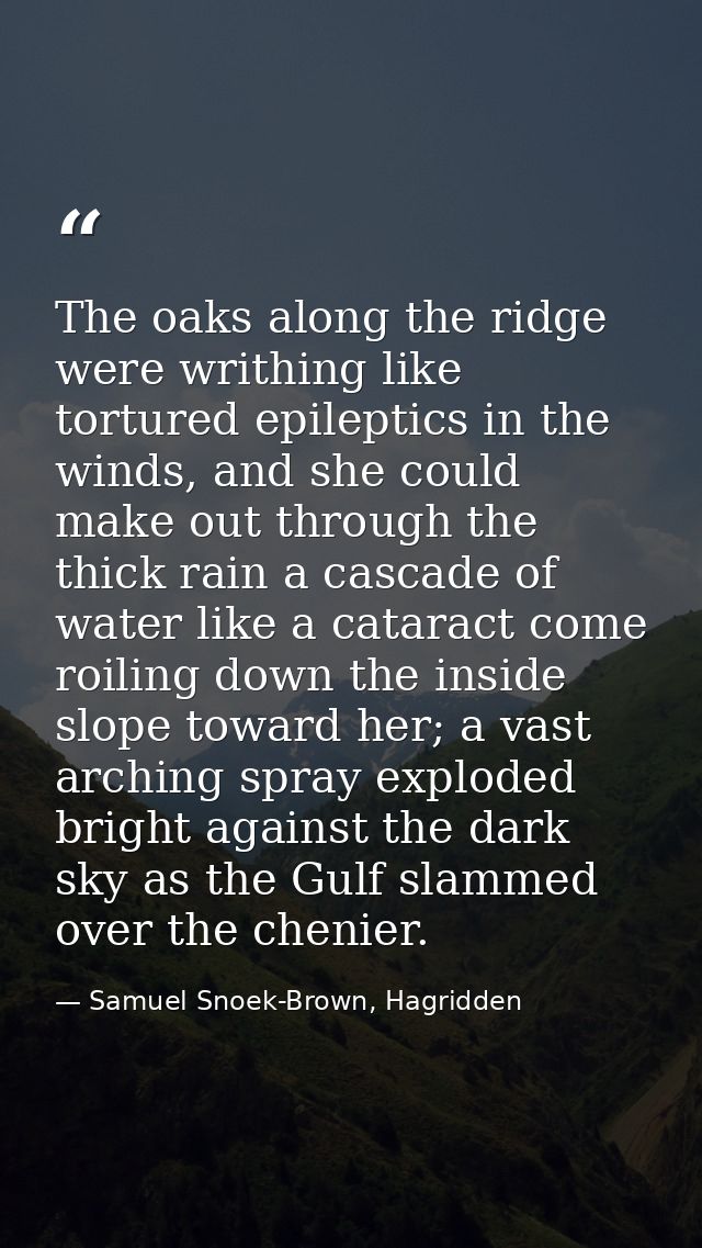 The oaks along the ridge were writhing like tortured epileptics in the winds, and she could make out through the thick r — Samuel Snoek-Brown, Hagridden