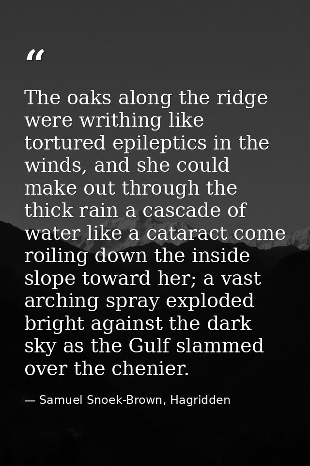 The oaks along the ridge were writhing like tortured epileptics in the winds, and she could make out through the thick r — Samuel Snoek-Brown, Hagridden