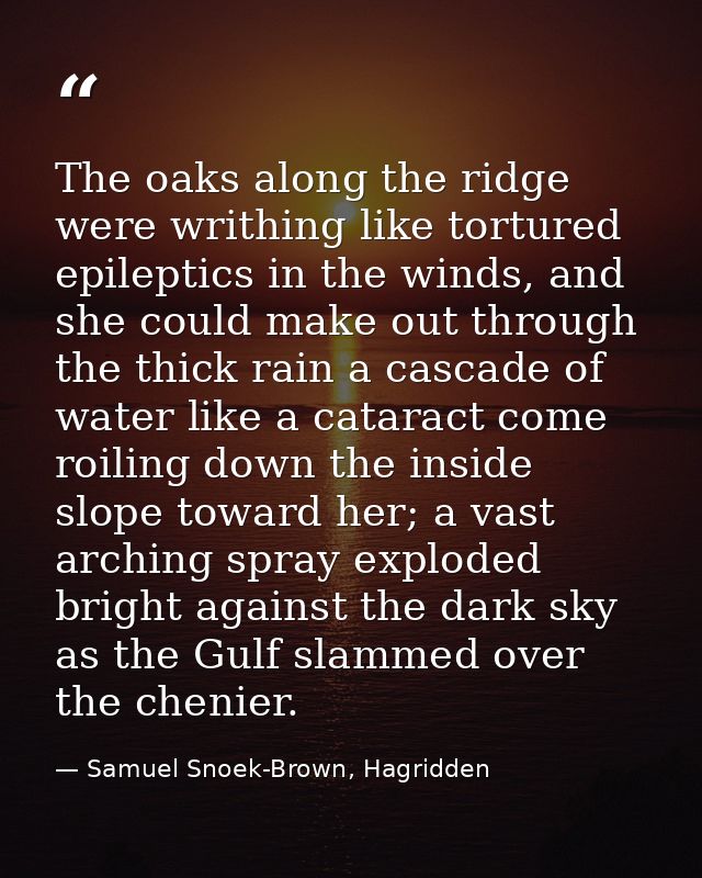 The oaks along the ridge were writhing like tortured epileptics in the winds, and she could make out through the thick r — Samuel Snoek-Brown, Hagridden