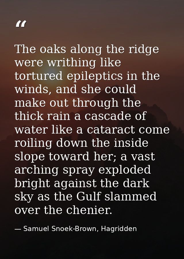 The oaks along the ridge were writhing like tortured epileptics in the winds, and she could make out through the thick r — Samuel Snoek-Brown, Hagridden