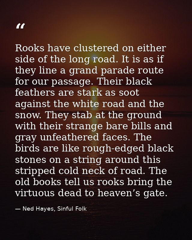 Rooks have clustered on either side of the long road. It is as if they line a grand parade route for our passage. Their  — Ned Hayes, Sinful Folk