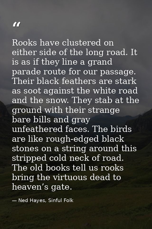 Rooks have clustered on either side of the long road. It is as if they line a grand parade route for our passage. Their  — Ned Hayes, Sinful Folk