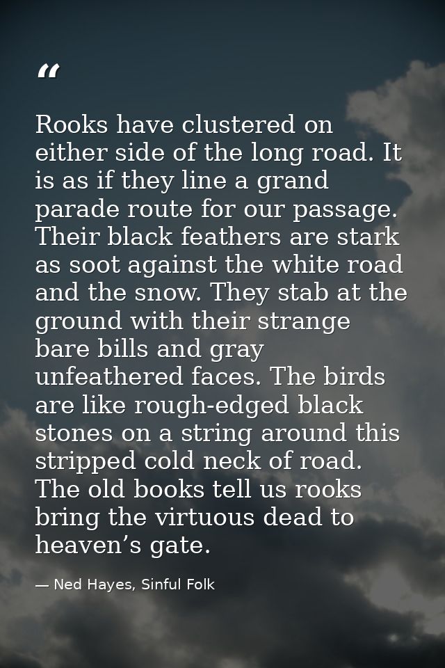 Rooks have clustered on either side of the long road. It is as if they line a grand parade route for our passage. Their  — Ned Hayes, Sinful Folk
