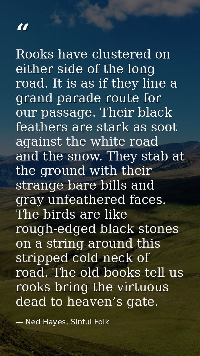 Rooks have clustered on either side of the long road. It is as if they line a grand parade route for our passage. Their  — Ned Hayes, Sinful Folk