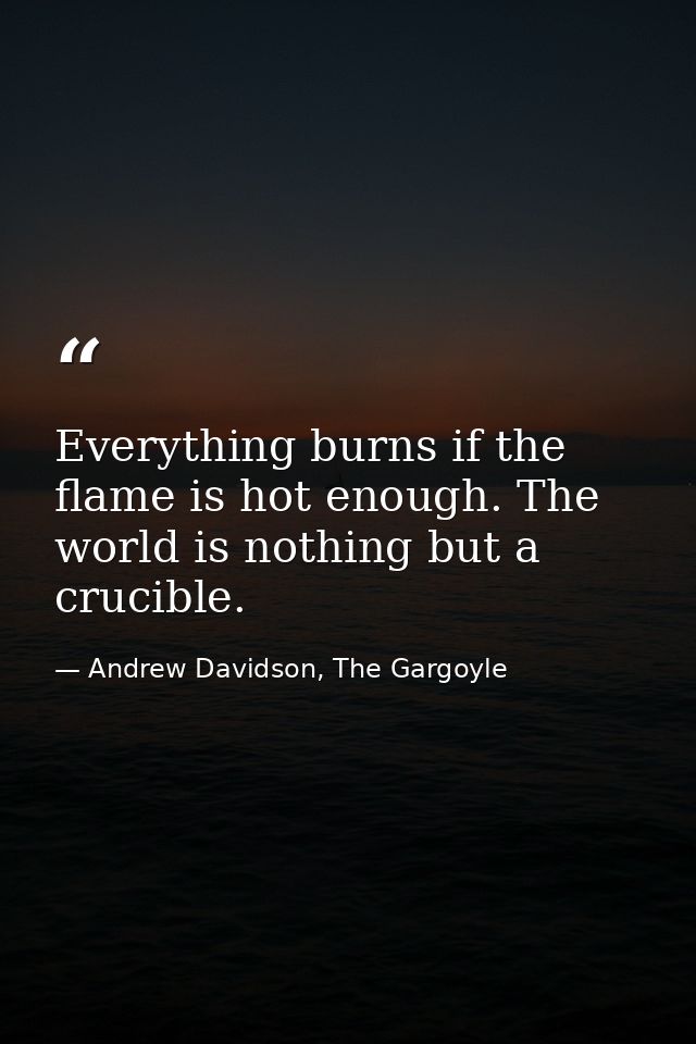 Everything burns if the flame is hot enough. The world is nothing but a crucible. — Andrew Davidson, The Gargoyle