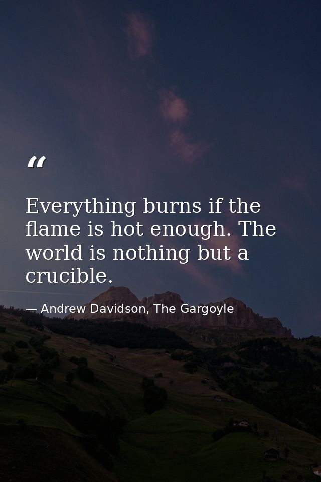 Everything burns if the flame is hot enough. The world is nothing but a crucible. — Andrew Davidson, The Gargoyle