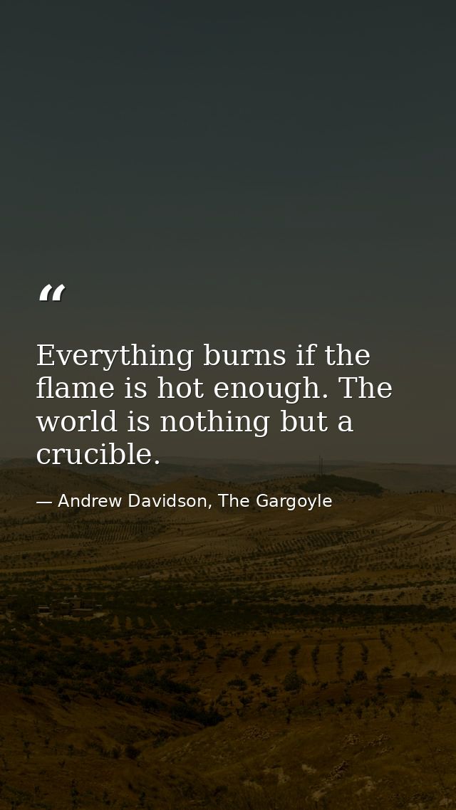 Everything burns if the flame is hot enough. The world is nothing but a crucible. — Andrew Davidson, The Gargoyle