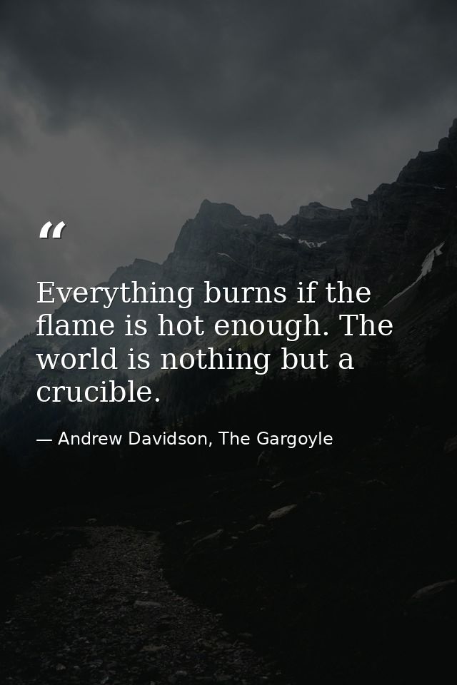 Everything burns if the flame is hot enough. The world is nothing but a crucible. — Andrew Davidson, The Gargoyle