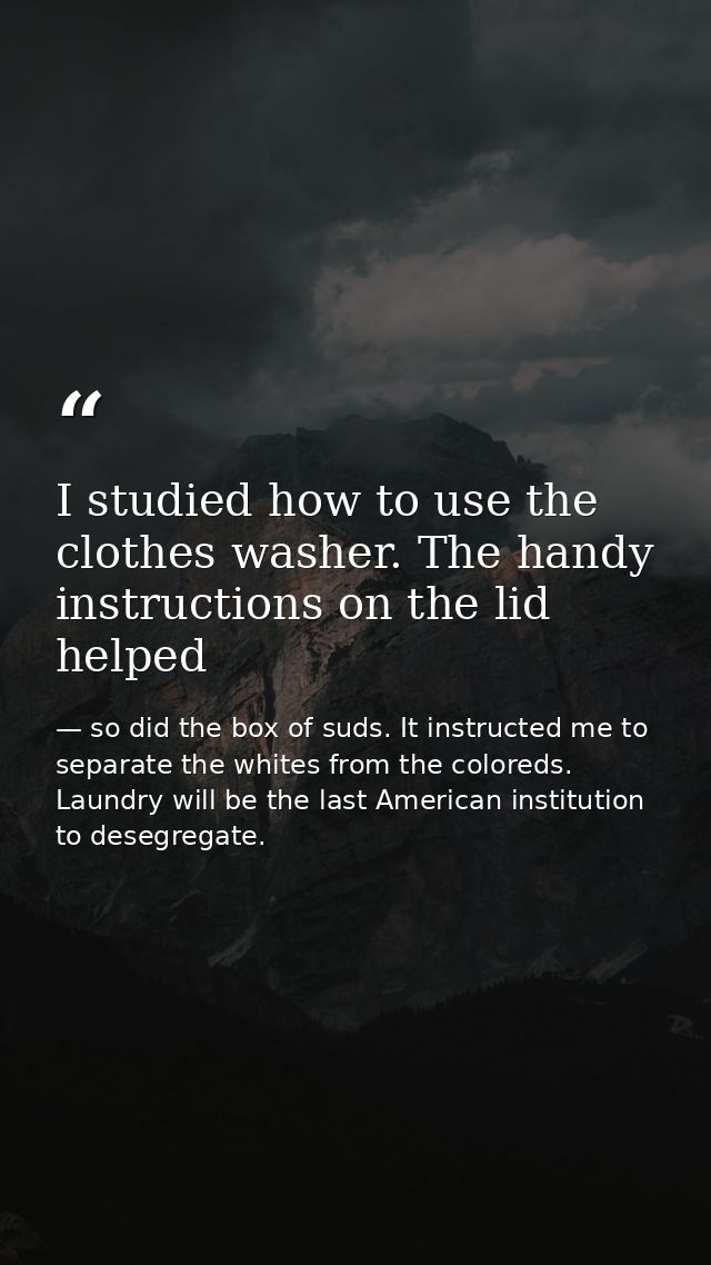 I studied how to use the clothes washer. The handy instructions on the lid helped — so did the box of suds. It instructed me to separate the whites from the coloreds. Laundry will be the last American institution to desegregate.