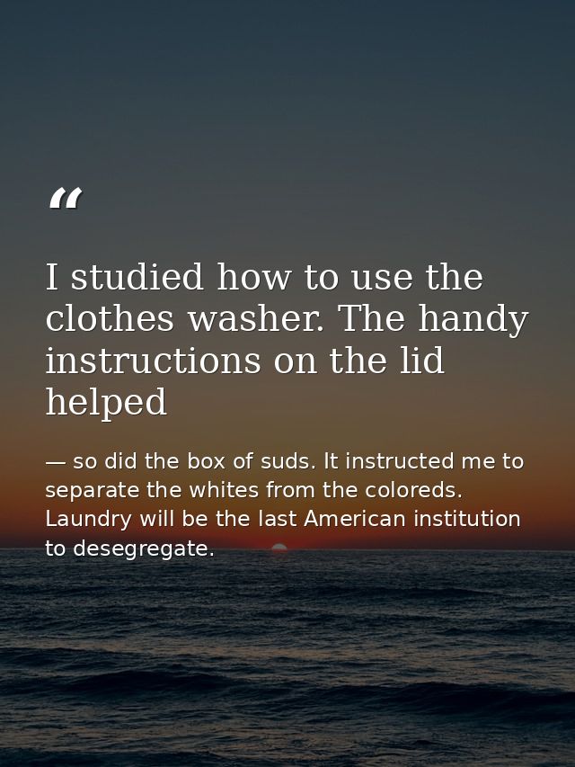 I studied how to use the clothes washer. The handy instructions on the lid helped — so did the box of suds. It instructed me to separate the whites from the coloreds. Laundry will be the last American institution to desegregate.