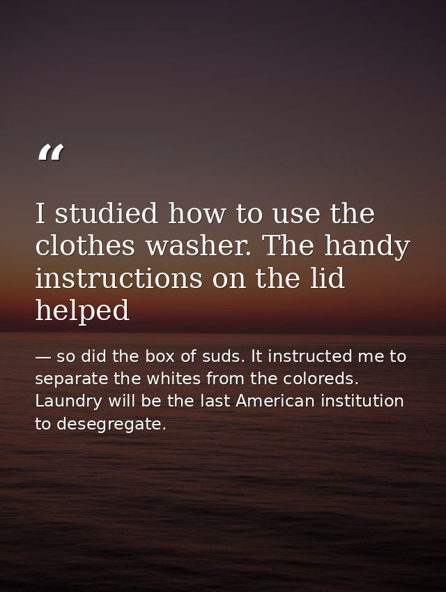 I studied how to use the clothes washer. The handy instructions on the lid helped — so did the box of suds. It instructed me to separate the whites from the coloreds. Laundry will be the last American institution to desegregate.