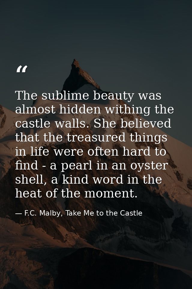 The sublime beauty was almost hidden withing the castle walls. She believed that the treasured things in life were often — F.C. Malby, Take Me to the Castle