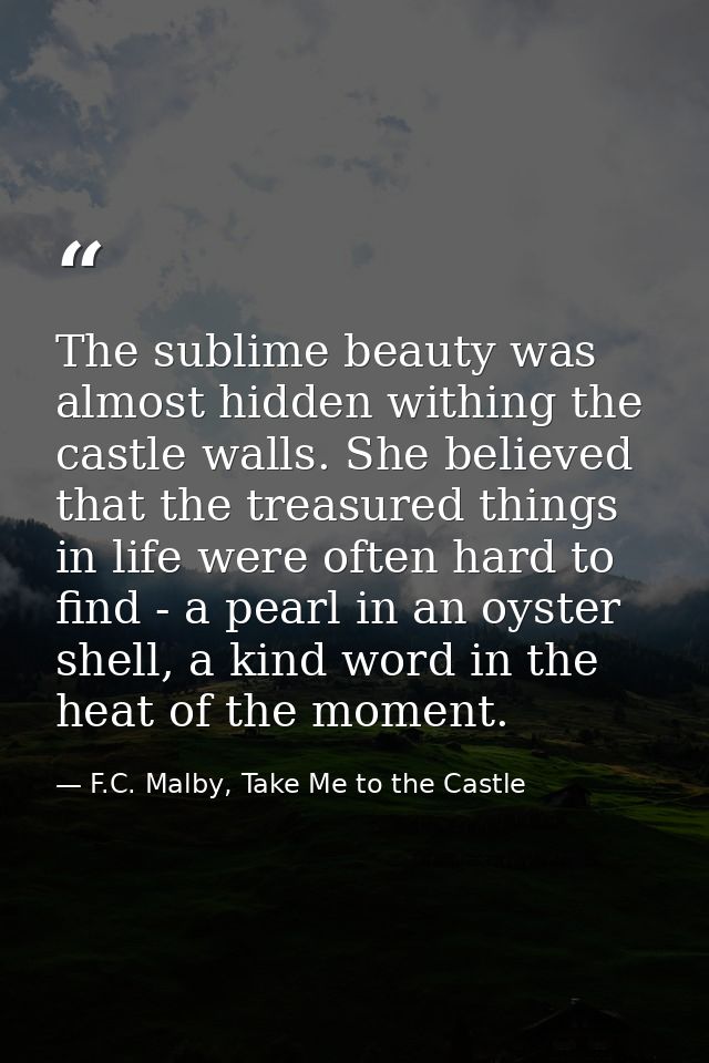 The sublime beauty was almost hidden withing the castle walls. She believed that the treasured things in life were often — F.C. Malby, Take Me to the Castle