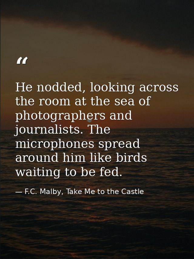 He nodded, looking across the room at the sea of photographers and journalists. The microphones spread around him like b — F.C. Malby, Take Me to the Castle