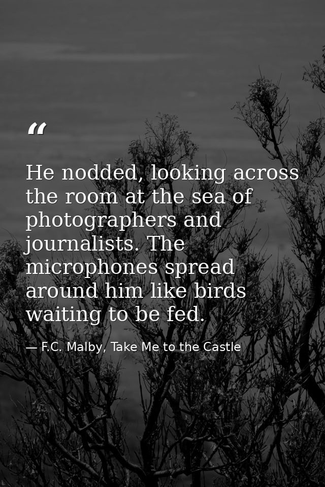 He nodded, looking across the room at the sea of photographers and journalists. The microphones spread around him like b — F.C. Malby, Take Me to the Castle