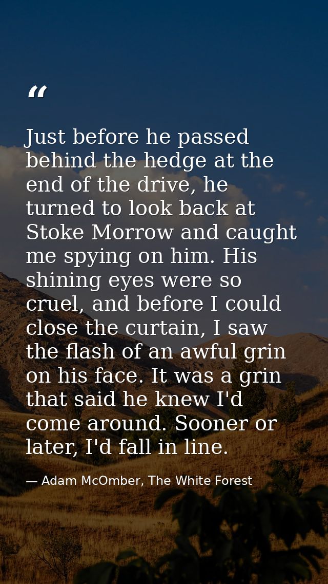Just before he passed behind the hedge at the end of the drive, he turned to look back at Stoke Morrow and caught me spy — Adam McOmber, The White Forest
