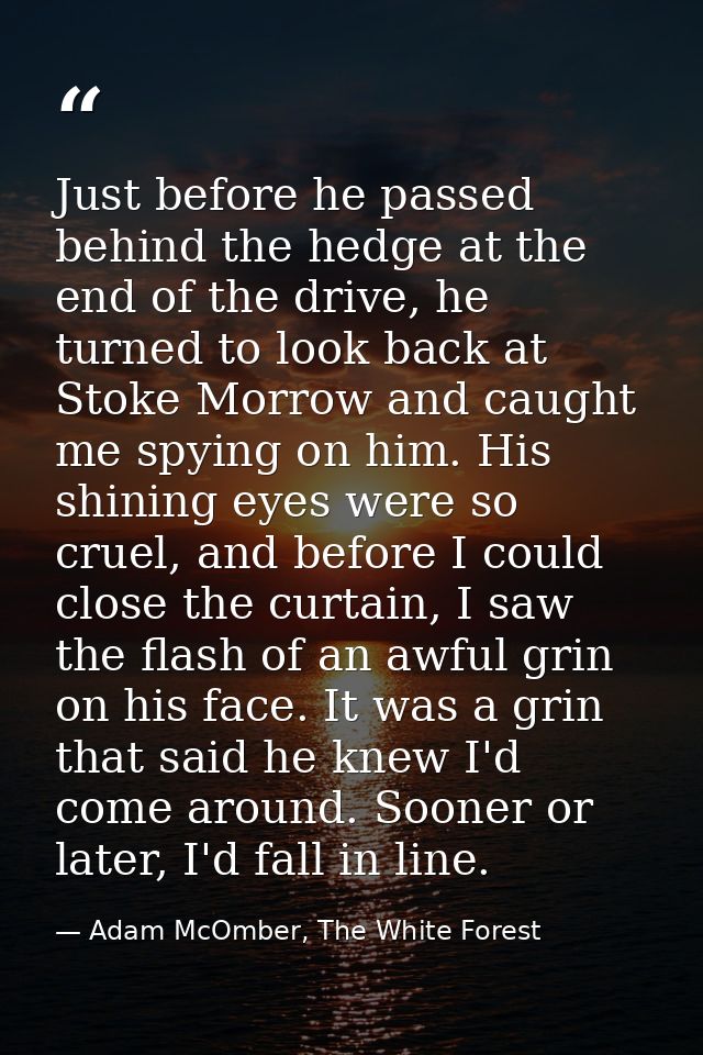 Just before he passed behind the hedge at the end of the drive, he turned to look back at Stoke Morrow and caught me spy — Adam McOmber, The White Forest