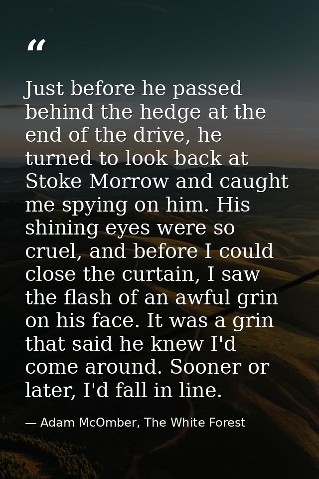 Just before he passed behind the hedge at the end of the drive, he turned to look back at Stoke Morrow and caught me spy — Adam McOmber, The White Forest