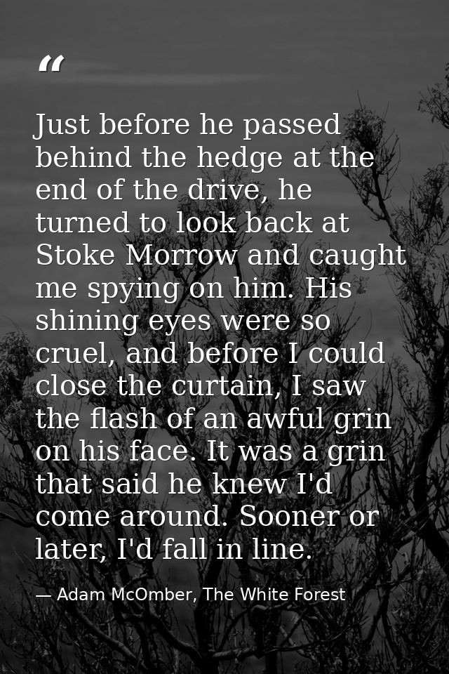 Just before he passed behind the hedge at the end of the drive, he turned to look back at Stoke Morrow and caught me spy — Adam McOmber, The White Forest