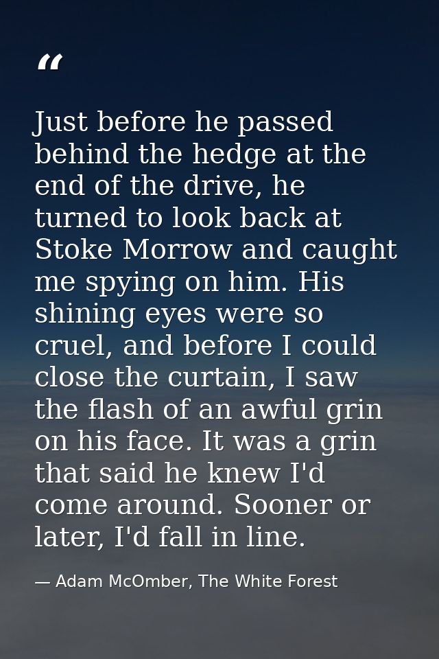 Just before he passed behind the hedge at the end of the drive, he turned to look back at Stoke Morrow and caught me spy — Adam McOmber, The White Forest
