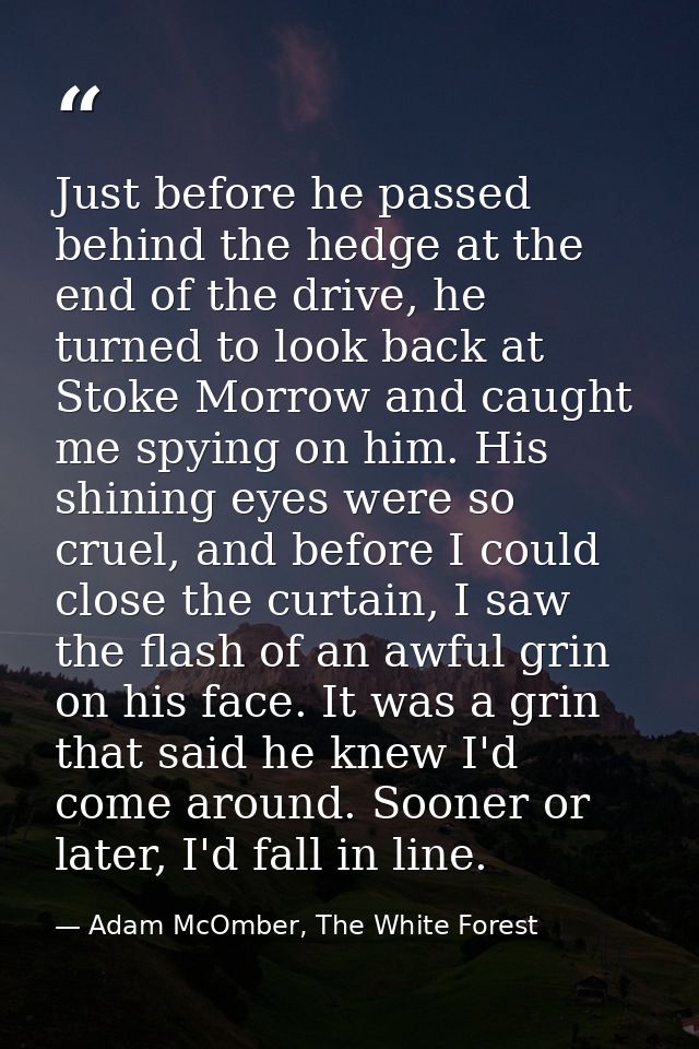 Just before he passed behind the hedge at the end of the drive, he turned to look back at Stoke Morrow and caught me spy — Adam McOmber, The White Forest