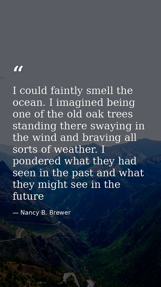 I could faintly smell the ocean. I imagined being one of the old oak trees standing there swaying in the wind and bravin — Nancy B. Brewer
