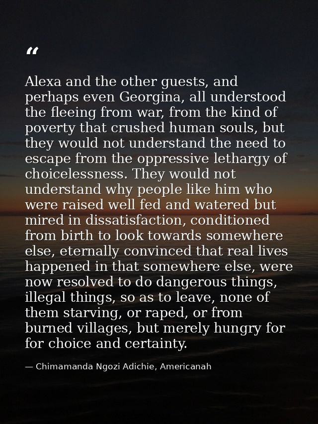 Alexa and the other guests, and perhaps even Georgina, all understood the fleeing from war, from the kind of poverty tha — Chimamanda Ngozi Adichie, Americanah