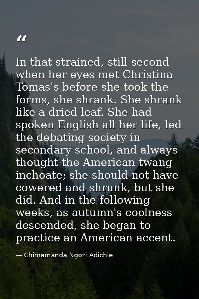 In that strained, still second when her eyes met Christina Tomas's before she took the forms, she shrank. She shrank lik — Chimamanda Ngozi Adichie