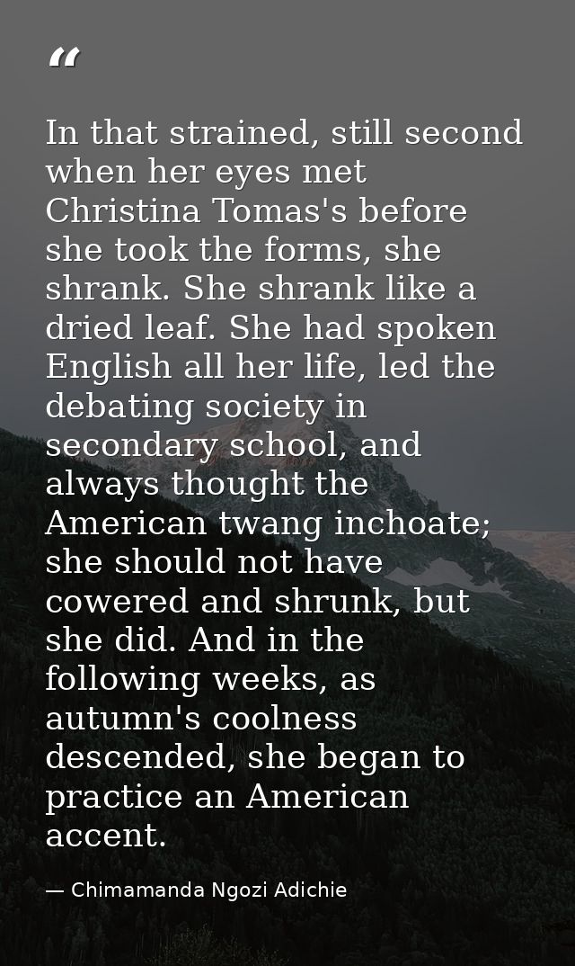 In that strained, still second when her eyes met Christina Tomas's before she took the forms, she shrank. She shrank lik — Chimamanda Ngozi Adichie