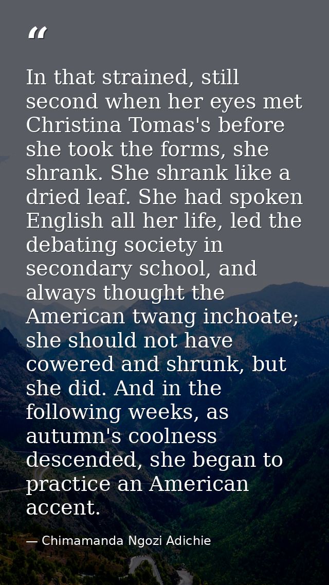 In that strained, still second when her eyes met Christina Tomas's before she took the forms, she shrank. She shrank lik — Chimamanda Ngozi Adichie
