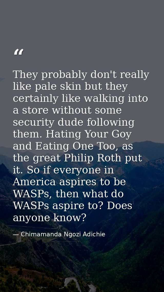 They probably don't really like pale skin but they certainly like walking into a store without some security dude follow — Chimamanda Ngozi Adichie