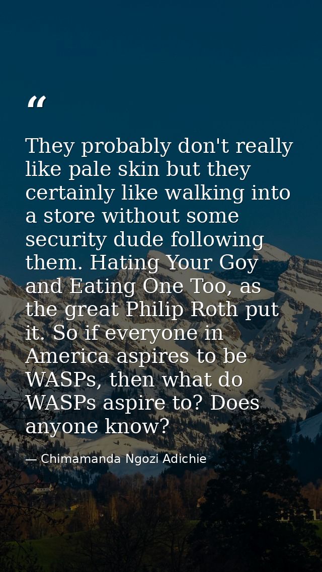 They probably don't really like pale skin but they certainly like walking into a store without some security dude follow — Chimamanda Ngozi Adichie