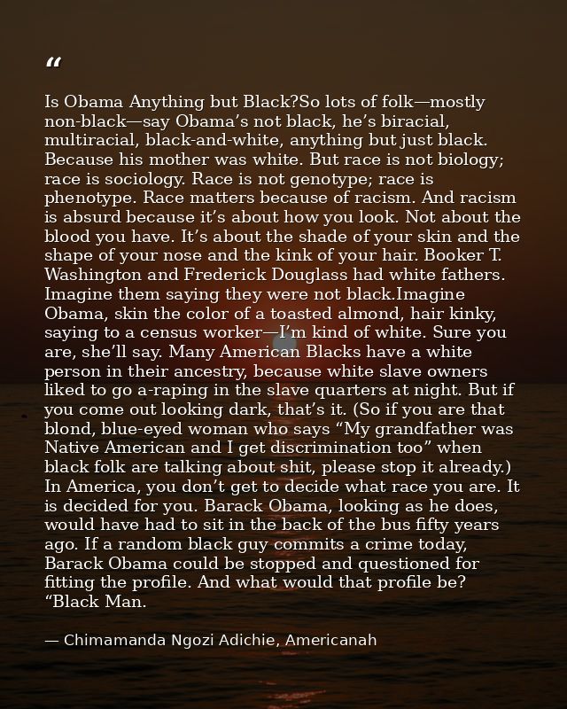 Is Obama Anything but Black?So lots of folk—mostly non-black—say Obama’s not black, he’s biracial, multiracial, black-an — Chimamanda Ngozi Adichie, Americanah